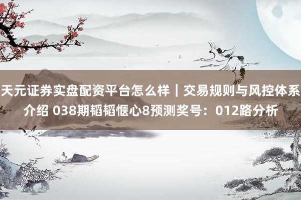 天元证券实盘配资平台怎么样｜交易规则与风控体系介绍 038期韬韬惬心8预测奖号：012路分析