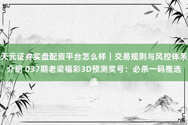 天元证券实盘配资平台怎么样｜交易规则与风控体系介绍 037期老梁福彩3D预测奖号：必杀一码推选