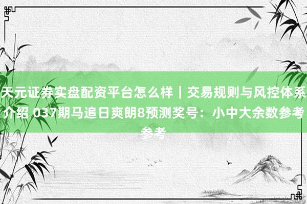 天元证券实盘配资平台怎么样｜交易规则与风控体系介绍 037期马追日爽朗8预测奖号：小中大余数参考