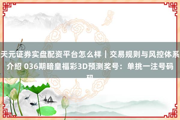 天元证券实盘配资平台怎么样｜交易规则与风控体系介绍 036期暗皇福彩3D预测奖号：单挑一注号码