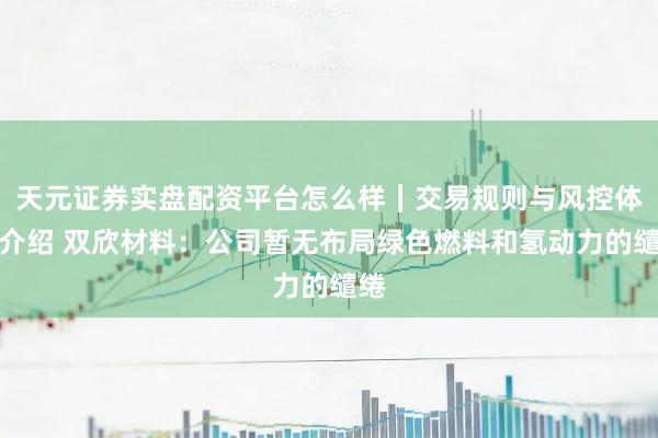 天元证券实盘配资平台怎么样｜交易规则与风控体系介绍 双欣材料：公司暂无布局绿色燃料和氢动力的缱绻