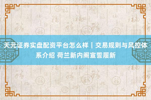 天元证券实盘配资平台怎么样｜交易规则与风控体系介绍 荷兰新内阁宣誓履新
