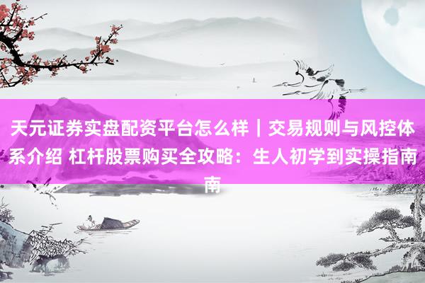 天元证券实盘配资平台怎么样｜交易规则与风控体系介绍 杠杆股票购买全攻略：生人初学到实操指南