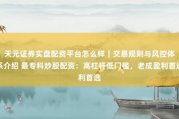 天元证券实盘配资平台怎么样｜交易规则与风控体系介绍 最专科炒股配资：高杠杆低门槛，老成盈利首选