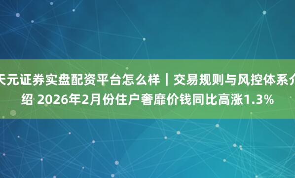 天元证券实盘配资平台怎么样｜交易规则与风控体系介绍 2026年2月份住户奢靡价钱同比高涨1.3%