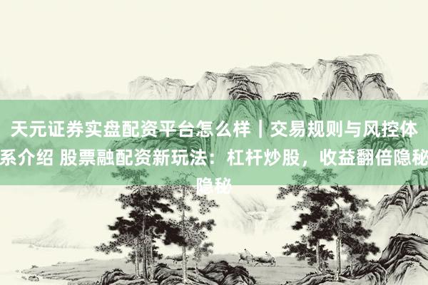 天元证券实盘配资平台怎么样｜交易规则与风控体系介绍 股票融配资新玩法：杠杆炒股，收益翻倍隐秘
