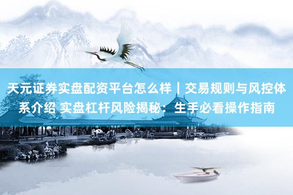天元证券实盘配资平台怎么样｜交易规则与风控体系介绍 实盘杠杆风险揭秘：生手必看操作指南