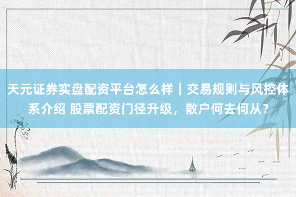 天元证券实盘配资平台怎么样｜交易规则与风控体系介绍 股票配资门径升级，散户何去何从？
