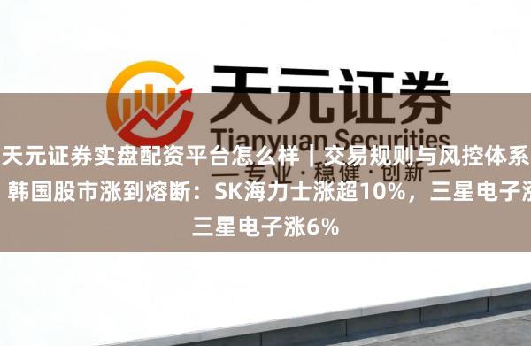 天元证券实盘配资平台怎么样｜交易规则与风控体系介绍 韩国股市涨到熔断：SK海力士涨超10%，三星电子涨6%