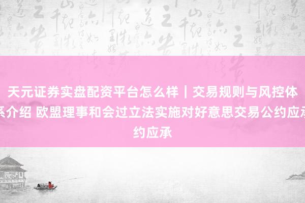 天元证券实盘配资平台怎么样｜交易规则与风控体系介绍 欧盟理事和会过立法实施对好意思交易公约应承