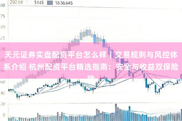 天元证券实盘配资平台怎么样｜交易规则与风控体系介绍 杭州配资平台精选指南：安全与收益双保险