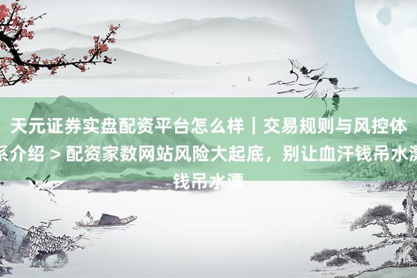 天元证券实盘配资平台怎么样｜交易规则与风控体系介绍 > 配资家数网站风险大起底，别让血汗钱吊水漂