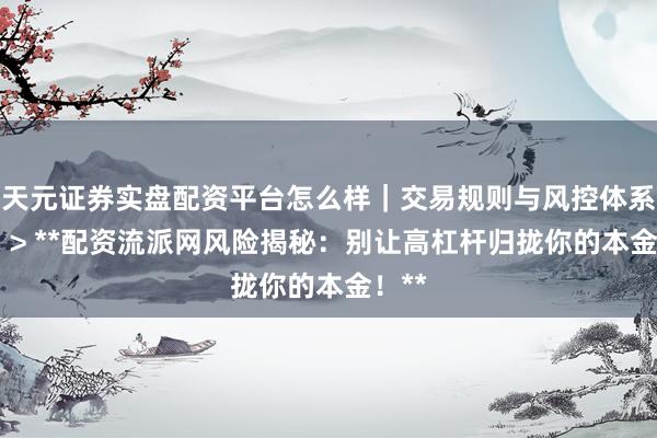 天元证券实盘配资平台怎么样｜交易规则与风控体系介绍 > **配资流派网风险揭秘：别让高杠杆归拢你的本金！**