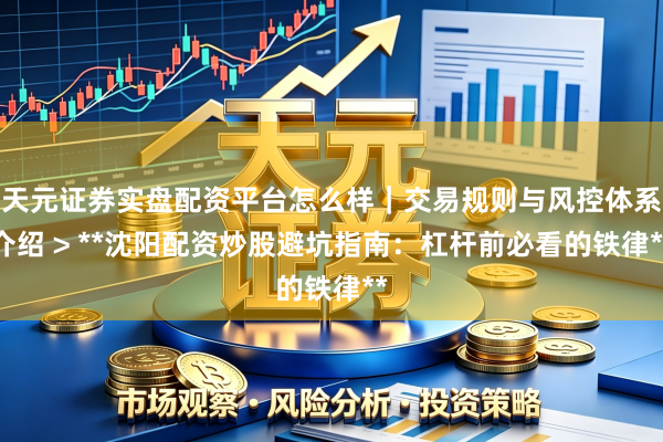 天元证券实盘配资平台怎么样｜交易规则与风控体系介绍 > **沈阳配资炒股避坑指南：杠杆前必看的铁律**